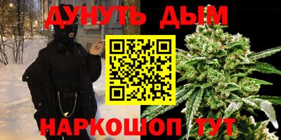 МДПВ Пушкино