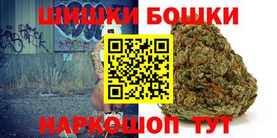 МДПВ Пушкино