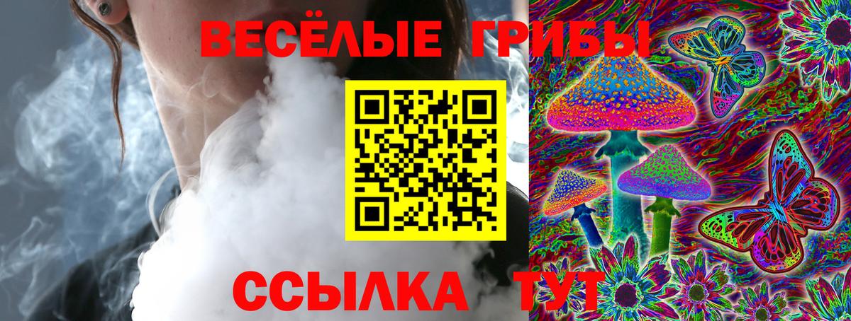 Псилоцибиновые грибы GOLDEN TEACHER Острогожск