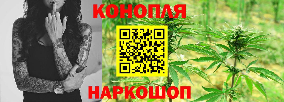 Канабис план  Конопля OG Kush  Острогожск  Вход с VPN  Канабис конопля 